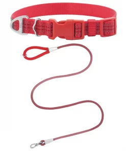 Frisco Outdoor Frisco Nylon Collar, Flamepoint Orange, Small-Neck: 10-14-in, Width: 5/8-in + Rope Leash With Padded Handle, Sunset Orange, 6-ft