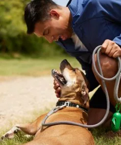 Frisco Outdoor Frisco Nylon Collar, Forest Green, Medium-Neck: 14-20-in, Width: 3/4-in + Rope Leash With Padded Handle, Stone Gray, 6-ft 19 Frisco Outdoor Frisco Nylon Collar, Forest Green, Medium-Neck: 14-20-in, Width: 3/4-in + Rope Leash With Padded Handle, Stone Gray, 6-ft -Pet Food Gear Shop 319104 PT8. SY630 V1631158315