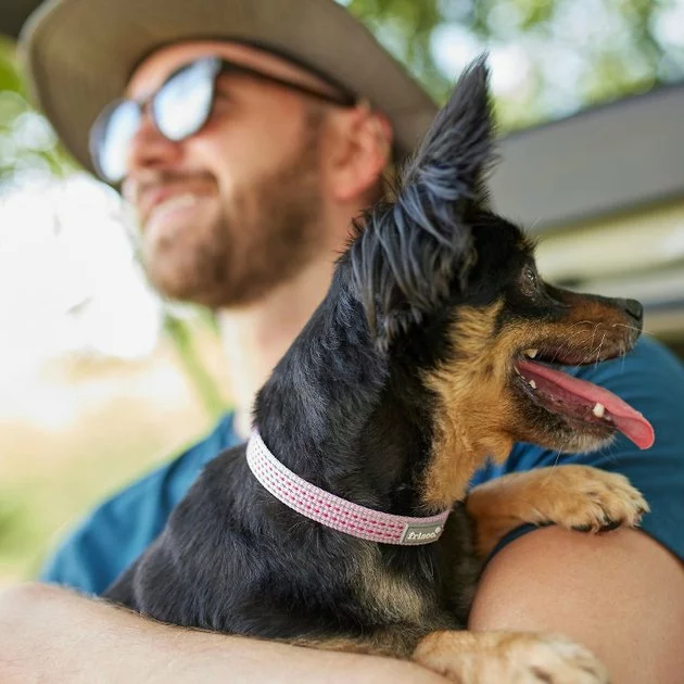 Frisco Outdoor Frisco Nylon Collar, Shadow Purple, Small-Neck: 10-14-in, Width: 5/8-in + Rope Leash With Padded Handle, Boysenberry Purple, 6-ft 7 Frisco Outdoor Frisco Nylon Collar, Shadow Purple, Small-Neck: 10-14-in, Width: 5/8-in + Rope Leash With Padded Handle, Boysenberry Purple, 6-ft - Image 5