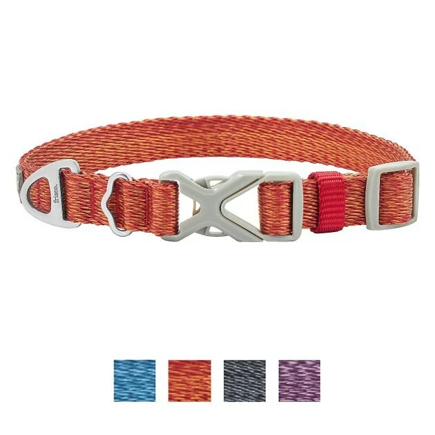 Frisco Outdoor Heathered Nylon Collar, Flamepoint Orange, Medium - Neck: 14-20-in, Width: 3/4-in + Dog Leash, Flamepoint Orange, Medium - Length: 6-ft, Width: 3/4-in 4 Frisco Outdoor Heathered Nylon Collar, Flamepoint Orange, Medium - Neck: 14-20-in, Width: 3/4-in + Dog Leash, Flamepoint Orange, Medium - Length: 6-ft, Width: 3/4-in - Image 2