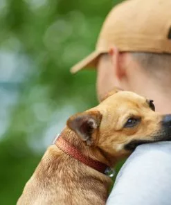 Frisco Outdoor Heathered Nylon Collar, Flamepoint Orange, Medium - Neck: 14-20-in, Width: 3/4-in + Dog Leash, Flamepoint Orange, Medium - Length: 6-ft, Width: 3/4-in 14 Frisco Outdoor Heathered Nylon Collar, Flamepoint Orange, Medium - Neck: 14-20-in, Width: 3/4-in + Dog Leash, Flamepoint Orange, Medium - Length: 6-ft, Width: 3/4-in -Pet Food Gear Shop 319120 PT4. SY630 V1631142689