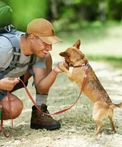 Frisco Outdoor Heathered Nylon Collar, Flamepoint Orange, Medium - Neck: 14-20-in, Width: 3/4-in + Dog Leash, Flamepoint Orange, Medium - Length: 6-ft, Width: 3/4-in 17 Frisco Outdoor Heathered Nylon Collar, Flamepoint Orange, Medium - Neck: 14-20-in, Width: 3/4-in + Dog Leash, Flamepoint Orange, Medium - Length: 6-ft, Width: 3/4-in -Pet Food Gear Shop 319120 PT7. SY630 V1631141495