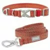 Frisco Outdoor Heathered Nylon Collar, Flamepoint Orange, Small - Neck: 10-14-in, Width: 5/8-in + Dog Leash, Flamepoint Orange, Small - Length: 6-ft, Width: 5/8-in -Pet Food Gear Shop 319122 MAIN. SY630 V1631146298