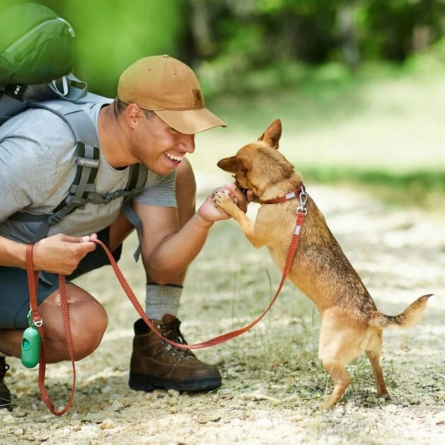 Frisco Outdoor Heathered Nylon Collar, Flamepoint Orange, Small - Neck: 10-14-in, Width: 5/8-in + Dog Leash, Flamepoint Orange, Small - Length: 6-ft, Width: 5/8-in 10 Frisco Outdoor Heathered Nylon Collar, Flamepoint Orange, Small - Neck: 10-14-in, Width: 5/8-in + Dog Leash, Flamepoint Orange, Small - Length: 6-ft, Width: 5/8-in - Image 8