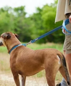 Frisco Outdoor Heathered Nylon Collar, River Blue, Large, Neck: 18 -26-in, Width: 1-in + Dog Leash, River Blue, Large - Length: 6-ft, Width: 1-in -Pet Food Gear Shop 319134 PT7. SY630 V1631155905
