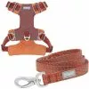 Frisco Outdoor Lightweight Ripstop Nylon Harness, Flamepoint Orange, Extra Large, Neck: 22 to 34-in, Girth: 32 to 44-in + Heathered Dog Leash, Flamepoint Orange, Large - Length: 6-ft, Width: 1-in 2 Frisco Outdoor Lightweight Ripstop Nylon Harness, Flamepoint Orange, Extra Large, Neck: 22 to 34-in, Girth: 32 to 44-in + Heathered Dog Leash, Flamepoint Orange, Large - Length: 6-ft, Width: 1-in -Pet Food Gear Shop 319148 MAIN. SY630 V1631159485