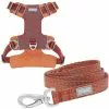 Frisco Outdoor Lightweight Ripstop Nylon Harness, Flamepoint Orange, Small, Neck: 13 to 19-in, Girth: 16 to 22-in + Heathered Dog Leash, Flamepoint Orange, Small - Length: 6-ft, Width: 5/8-in -Pet Food Gear Shop 319160 MAIN. SY630 V1631154678