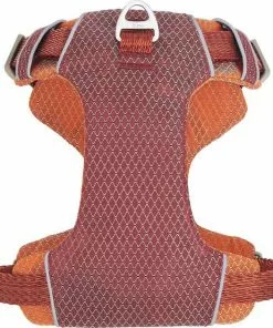 Frisco Outdoor Lightweight Ripstop Nylon Harness, Flamepoint Orange, Small, Neck: 13 to 19-in, Girth: 16 to 22-in + Heathered Dog Leash, Flamepoint Orange, Small - Length: 6-ft, Width: 5/8-in -Pet Food Gear Shop 319160 PT2. SY630 V1631151086