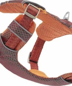 Frisco Outdoor Lightweight Ripstop Nylon Harness, Flamepoint Orange, Small, Neck: 13 to 19-in, Girth: 16 to 22-in + Heathered Dog Leash, Flamepoint Orange, Small - Length: 6-ft, Width: 5/8-in -Pet Food Gear Shop 319160 PT3. SY630 V1631139114