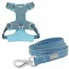 Frisco Outdoor Lightweight Ripstop Nylon Harness, River Blue, Extra Large, Neck: 22 to 34-in, Girth: 32 to 44-in + Heathered Dog Leash, River Blue, Large - Length: 6-ft, Width: 1-in -Pet Food Gear Shop 319164 MAIN. SY630 V1631153500