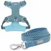 Frisco Outdoor Lightweight Ripstop Nylon Harness, River Blue, Large, Neck: 18 to 28-in, Girth 24 to 34-in + Heathered Dog Leash, River Blue, Large - Length: 6-ft, Width: 1-in -Pet Food Gear Shop 319168 MAIN. SY630 V1631141787