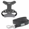 Frisco Outdoor Lightweight Ripstop Nylon Harness, Storm Gray, Extra Large, Neck: 22 to 34-in, Girth: 32 to 44-in + Heathered Dog Leash, Midnight Black, LG - Length: 6-ft, Width: 1-in -Pet Food Gear Shop 319196 MAIN. SY630 V1631151688