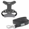 Frisco Outdoor Lightweight Ripstop Nylon Harness, Storm Gray, Large, Neck: 18 to 28-in, Girth 24 to 34-in + Heathered Dog Leash, Midnight Black, LG - Length: 6-ft, Width: 1-in -Pet Food Gear Shop 319200 MAIN. SY630 V1631142991