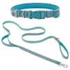 Frisco Outdoor Nylon Reflective Comfort Padded Collar, Bayou Teal, Extra Small, Neck: 8-12-in, Width: 5/8th-in + Dog Leash, Bayou Teal, Small - Length: 6-ft, Width: 5/8-in
