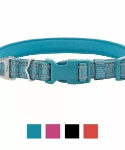 Frisco Outdoor Nylon Reflective Comfort Padded Collar, Bayou Teal, Extra Small, Neck: 8-12-in, Width: 5/8th-in + Dog Leash, Bayou Teal, Small - Length: 6-ft, Width: 5/8-in 12 Frisco Outdoor Nylon Reflective Comfort Padded Collar, Bayou Teal, Extra Small, Neck: 8-12-in, Width: 5/8th-in + Dog Leash, Bayou Teal, Small - Length: 6-ft, Width: 5/8-in -Pet Food Gear Shop 319212 PT1. SY630 V1631153198