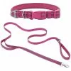 Frisco Outdoor Nylon Reflective Comfort Padded Collar, Boysenberry Purple, Extra Small, Neck: 8-12-in, Width: 5/8th -in + Dog Leash, Boysenberry Purple, Small - Length: 6-ft, Width: 5/8-in 1 Frisco Outdoor Nylon Reflective Comfort Padded Collar, Boysenberry Purple, Extra Small, Neck: 8-12-in, Width: 5/8th -in + Dog Leash, Boysenberry Purple, Small - Length: 6-ft, Width: 5/8-in -Pet Food Gear Shop 319220 MAIN. SY630 V1631148085
