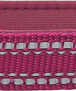 Frisco Outdoor Nylon Reflective Comfort Padded Collar, Boysenberry Purple, Extra Small, Neck: 8-12-in, Width: 5/8th -in + Dog Leash, Boysenberry Purple, Small - Length: 6-ft, Width: 5/8-in -Pet Food Gear Shop 319220 PT2. SY630 V1631154092