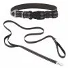 Frisco Outdoor Nylon Reflective Comfort Padded Collar, Midnight Black, MD - Neck: 14-20-in, Width: 3/4-in + Dog Leash, Midnight Black, MD - Length: 6-ft, Width: 3/4-in -Pet Food Gear Shop 319230 MAIN. SY630 V1631154738