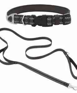 Frisco Outdoor Nylon Reflective Comfort Padded Collar, Midnight Black, SM - Neck: 10-14-in, Width: 5/8-in + Dog Leash, Midnight Black, SM - Length: 6-ft, Width: 5/8-in