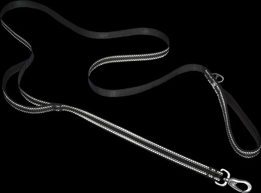 Frisco Outdoor Nylon Reflective Comfort Padded Collar, Midnight Black, XS, Neck: 8-12-in, Width: 5/8th -in + Dog Leash, Midnight Black, SM - Length: 6-ft, Width: 5/8-in 10 Frisco Outdoor Nylon Reflective Comfort Padded Collar, Midnight Black, XS, Neck: 8-12-in, Width: 5/8th -in + Dog Leash, Midnight Black, SM - Length: 6-ft, Width: 5/8-in - Image 8