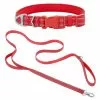 Frisco Outdoor Nylon Reflective Comfort Padded Collar, Sunset Orange, Medium - Neck: 14-20-in, Width: 3/4-in + Dog Leash, Sunset Orange, Medium - Length: 6-ft, Width: 3/4-in -Pet Food Gear Shop 319240 MAIN. SY630 V1631152590
