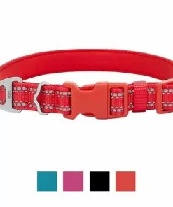 Frisco Outdoor Nylon Reflective Comfort Padded Collar, Sunset Orange, Medium - Neck: 14-20-in, Width: 3/4-in + Dog Leash, Sunset Orange, Medium - Length: 6-ft, Width: 3/4-in -Pet Food Gear Shop 319240 PT1. SY630 V1631144173