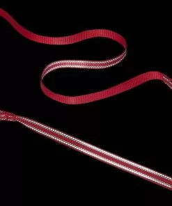 Frisco Outdoor Premium Ripstop Nylon Harness with Pocket, Sunset Orange, Extra Large, Neck: 22 to 34-in, Girth: 32 to 44-in + Reflective Comfort Padded Dog Leash, Sunset Orange, Large - Length: 6-ft, Width: 1-in -Pet Food Gear Shop 319310 PT7. SY630 V1631146900