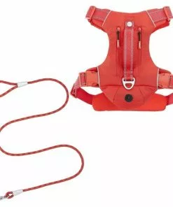Frisco Outdoor Premium Ripstop Nylon Harness with Pocket, Sunset Orange, Medium, Neck: 15 to 23-in, Girth, 20 to 28-in + Waterproof Stinkproof PVC Rope Leash, Sunset Orange, 6 Ft.