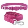 Frisco Outdoor Solid Textured Waterproof Stink Proof PVC Collar, Boysenberry Purple, Small - Neck: 10½14-in, Width: 5/8-in + Dog Leash, Boysenberry Purple, Small - Length: 6-ft, Width: 5/8-in