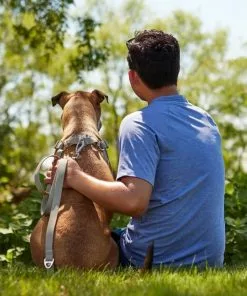 Frisco Outdoor Solid Textured Waterproof Stink Proof PVC Collar, Storm Gray, Extra Small - Neck: 8-12-in, Width: 5/8th-in + Dog Leash, Storm Gray, Small - Length: 6-ft, Width: 5/8-in -Pet Food Gear Shop 319348 PT7. SY630 V1631157978