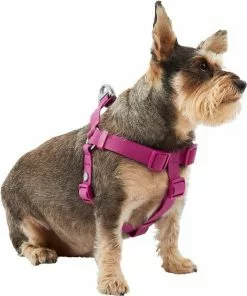 Frisco Outdoor Solid Textured Waterproof Stink Proof PVC Harness, Boysenberry Purple, Medium, Neck: 16 to 22-in, Girth: 19 to 29-in + Dog Leash, Boysenberry Purple, Medium - Length: 6-ft, Width: 3/4-in -Pet Food Gear Shop 319358 PT2. SY630 V1631153195