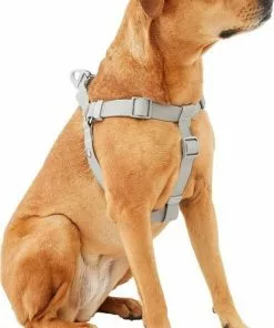 Frisco Outdoor Solid Textured Waterproof Stink Proof PVC Harness, Storm Gray, Medium, Neck: 16 to 22-in, Girth: 19 to 29-in + Dog Leash, Storm Gray, Medium - Length: 6-ft, Width: 3/4-in -Pet Food Gear Shop 319366 PT2. SY630 V1631140305
