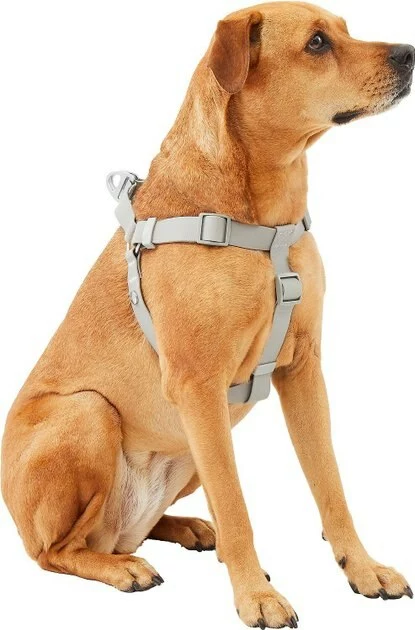 Frisco Outdoor Solid Textured Waterproof Stink Proof PVC Harness, Storm Gray, Small, Neck: 14 to 19-in, Girth: 16 to 23-in + Dog Leash, Storm Gray, Small - Length: 6-ft, Width: 5/8-in 5 Frisco Outdoor Solid Textured Waterproof Stink Proof PVC Harness, Storm Gray, Small, Neck: 14 to 19-in, Girth: 16 to 23-in + Dog Leash, Storm Gray, Small - Length: 6-ft, Width: 5/8-in - Image 3