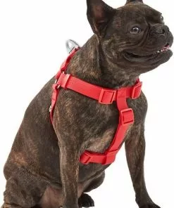 Frisco Outdoor Solid Textured Waterproof Stink Proof PVC Harness, Sunset Orage, Large, Neck: 19 to 27-in, Girth: 23 to 36-in + Dog Leash, Sunset Orange, LG - Length: 6-ft, Width: 1-in -Pet Food Gear Shop 319372 PT2. SY630 V1631152598