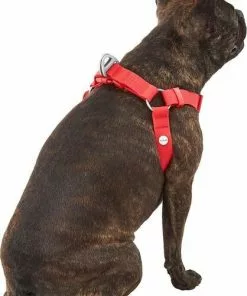 Frisco Outdoor Solid Textured Waterproof Stink Proof PVC Harness, Sunset Orage, Large, Neck: 19 to 27-in, Girth: 23 to 36-in + Dog Leash, Sunset Orange, LG - Length: 6-ft, Width: 1-in -Pet Food Gear Shop 319372 PT3. SY630 V1631155600