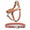 Frisco Outdoor Two Tone Waterproof Stinkproof PVC Harness, Flamepoint Orange, Medium, Neck: 16 to 22-in, Girth: 19 to 29-in + Dog Collar, Flamepoint Orange, Medium - Neck: 14½-20-in, Width: 3/4-in -Pet Food Gear Shop 319382 MAIN. SY630 V1631144184