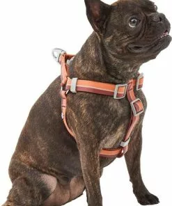 Frisco Outdoor Two Tone Waterproof Stinkproof PVC Harness, Flamepoint Orange, Medium, Neck: 16 to 22-in, Girth: 19 to 29-in + Dog Collar, Flamepoint Orange, Medium - Neck: 14½-20-in, Width: 3/4-in -Pet Food Gear Shop 319382 PT2. SY630 V1631145371