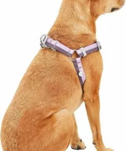 Frisco Outdoor Two Tone Waterproof Stinkproof PVC Harness, Flamepoint Orange,Extra Large, Neck: 22 to 33-in, Girth: 32 to 44-in + Outdoor Two Tone Waterproof Stinkproof PVC Harness, Shadow Purple, Large, Neck: 19 to 27-in, Girth: 23 to 36-in -Pet Food Gear Shop 319386 PT7. SY630 V1630618600