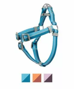 Frisco Outdoor Two Tone Waterproof Stinkproof PVC Harness, River Blue, Large, Neck: 19 to 27-in, Girth: 23 to 36-in + Dog Collar, River Blue, Large, Neck: 18 ½- 26-in, Width: 1-in -Pet Food Gear Shop 319390 PT1. SY630 V1631154091