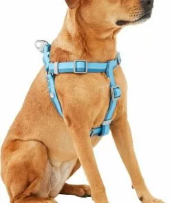 Frisco Outdoor Two Tone Waterproof Stinkproof PVC Harness, River Blue, Medium, Neck: 16 to 22-in, Girth: 19 to 29-in + Dog Collar, River Blue, Medium - Neck: 14½-20-in, Width: 3/4-in -Pet Food Gear Shop 319392 PT2. SY630 V1631160997