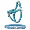 Frisco Outdoor Two Tone Waterproof Stinkproof PVC Harness, River Blue, Small, Neck: 14 to 19-in, Girth: 16 to 23-in + Dog Collar, River Blue, Small - Neck: 10½-14-in, Width: 5/8-in