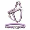 Frisco Outdoor Two Tone Waterproof Stinkproof PVC Harness, Shadow Purple, Medium, Neck: 16 to 22-in, Girth: 19 to 29-in + Dog Collar, Boysenberry Purple, Medium - Neck: 14½-20-in, Width: 3/4-in