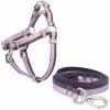 Frisco Outdoor Two Tone Waterproof Stinkproof PVC Harness, Shadow Purple,Extra Large, Neck: 22 to 33-in, Girth: 32 to 44-in + Dog Leash, Boysenberry Purple, Large - Length: 6-ft, Width: 1-in -Pet Food Gear Shop 319408 MAIN. SY630 V1631138210