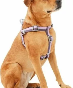 Frisco Outdoor Two Tone Waterproof Stinkproof PVC Harness, Shadow Purple,Extra Large, Neck: 22 to 33-in, Girth: 32 to 44-in + Dog Leash, Boysenberry Purple, Large - Length: 6-ft, Width: 1-in -Pet Food Gear Shop 319408 PT2. SY630 V1631158580