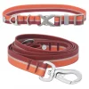 Frisco Outdoor Two Toned Waterproof Stink Proof PVC Collar, Flamepoint Orange, Extra Small, Neck: 8-12-in, Width: 5/8th -in + Dog Leash, Sunset Orange, Small - Length: 6-ft, Width: 5/8-in -Pet Food Gear Shop 319418 MAIN. SY630 V1631142983