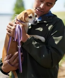 Frisco Outdoor Two Toned Waterproof Stink Proof PVC Leash, Boysenberry Purple, Medium - Length: 6-ft, Width: 3/4-in + Dog Harness, Shadow Purple, Medium, Neck: 16 to 22-in, Girth: 19 to 29-in -Pet Food Gear Shop 319436 PT3. SY630 V1631153200