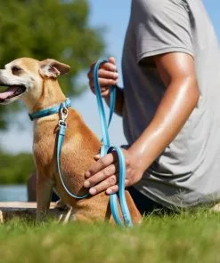 Frisco Outdoor Two Toned Waterproof Stink Proof PVC Leash, River Blue, Large - Length: 6-ft, Width: 1-in + Dog Harness, River Blue, Large, Neck: 19 to 27-in, Girth: 23 to 36-in -Pet Food Gear Shop 319440 PT3. SY630 V1631155296