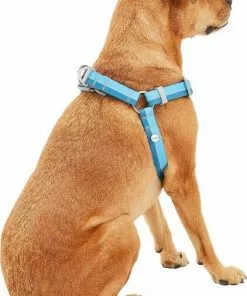 Frisco Outdoor Two Toned Waterproof Stink Proof PVC Leash, River Blue, Large - Length: 6-ft, Width: 1-in + Dog Harness, River Blue, Large, Neck: 19 to 27-in, Girth: 23 to 36-in -Pet Food Gear Shop 319440 PT6. SY630 V1631154094
