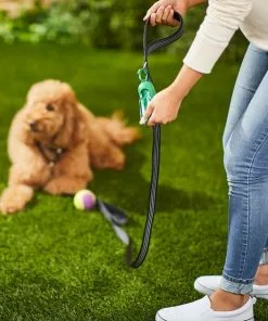 Frisco Traffic Leash with Padded Handles & Poop Bag Dispenser, Black, Length: 6ft, Width: 1-in + Refill Dog Poop Bags, Scented, 120 count -Pet Food Gear Shop 319512 PT4. SY630 V1630617698