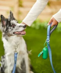 Frisco Traffic Leash with Padded Handles & Poop Bag Dispenser, Blue, Length: 6ft, Width: 1-in + Refill Dog Poop Bags, Scented, 120 count 15 Frisco Traffic Leash with Padded Handles & Poop Bag Dispenser, Blue, Length: 6ft, Width: 1-in + Refill Dog Poop Bags, Scented, 120 count -Pet Food Gear Shop 319516 PT4. SY630 V1630624598